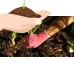 Ultimate Innovations Atlas Garden Gloves   570519839